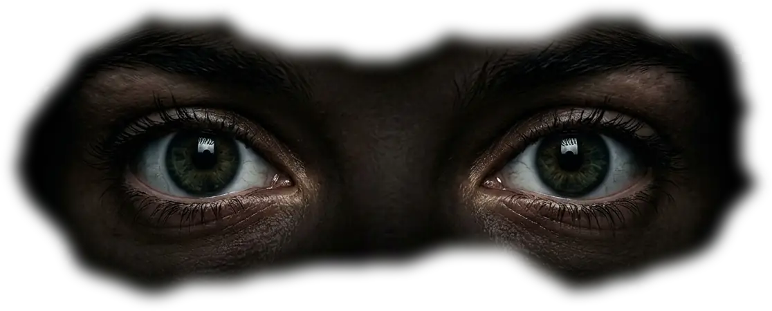 eyes in the dark